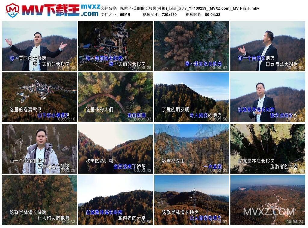张世平-美丽的长岭岗(替换)_国语_流行_YF100259